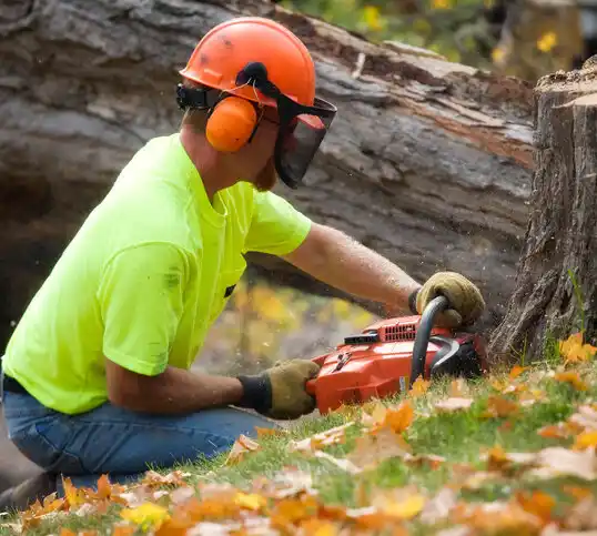 tree services Pentwater